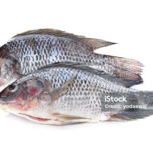 Tilapia (Guttend and Scaled)